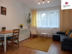 Pronájem bytu 1+kk, Jihlava, U Cihelny, 28 m2