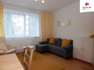 Pronájem bytu 1+kk, Jihlava, U Cihelny, 28 m2