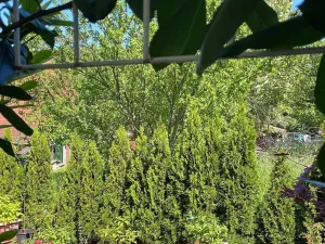 Prodej bytu 5+1, Děčín - Děčín II-Nové Město, Lužická, 145 m2