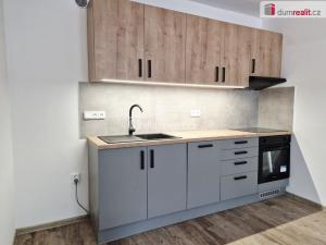 Pronájem bytu 2+kk, České Budějovice - České Budějovice 3, Na Sadech, 43 m2