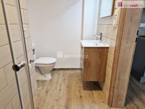 Pronájem bytu 2+kk, České Budějovice - České Budějovice 3, Na Sadech, 43 m2