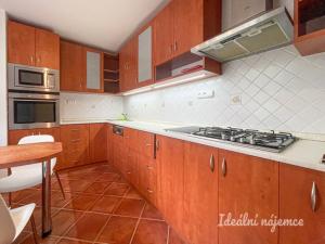 Pronájem bytu 3+1, Brno, Kuršova, 79 m2