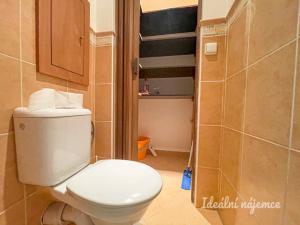 Pronájem bytu 3+1, Brno, Kuršova, 79 m2