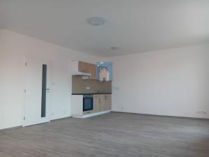 Pronájem bytu 1+kk, Plzeň, Rejskova, 69 m2