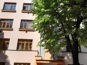 Pronájem bytu 2+1, Praha - Žižkov, Žerotínova, 62 m2