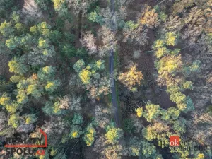 Prodej rodinného domu, Sezemice - Počaply, 125 m2