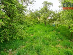Prodej rodinného domu, Trhové Sviny, Branka, 65 m2