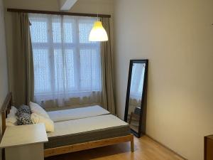Pronájem bytu 3+1, Praha - Nové Město, Opletalova, 71 m2