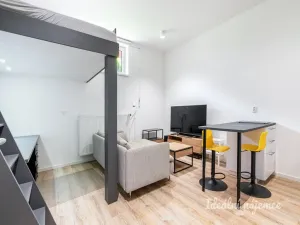 Pronájem bytu 1+kk, Praha - Černý Most, Rudolfa Holeky, 27 m2