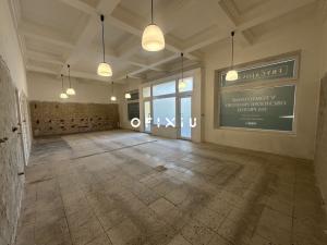 Pronájem obchodního prostoru, Brno, Fryčajova, 127 m2