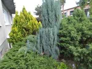 Prodej rodinného domu, Kroměříž, Víta Nejedlého, 212 m2