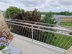 Prodej bytu 2+1, Nové Město nad Metují, Nad Stadionem, 55 m2