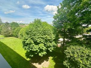Prodej bytu 2+1, Cheb, Školní, 53 m2