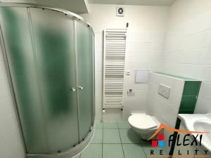 Pronájem bytu 1+1, Ostrava, Hrušovská, 48 m2