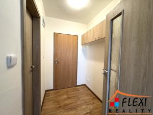 Pronájem bytu 1+1, Ostrava, Hrušovská, 48 m2