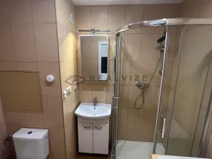 Pronájem bytu 1+kk, České Budějovice, K. Chocholy, 21 m2
