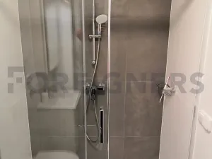 Pronájem bytu 1+kk, Brno, Stavební, 32 m2