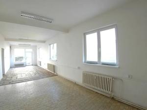 Pronájem obchodního prostoru, Horní Bříza, 55 m2