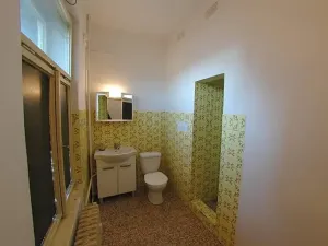 Pronájem obchodního prostoru, Horní Bříza, 55 m2