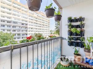 Prodej bytu 2+kk, Praha - Vršovice, Uzbecká, 75 m2