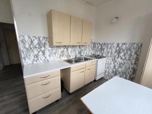 Prodej bytu 1+1, Habartov, Čs. armády, 30 m2