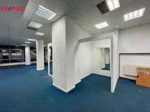 Pronájem obchodního prostoru, Třebíč - Vnitřní Město, Karlovo nám., 219 m2