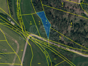 Prodej lesa, Střítež, 4100 m2