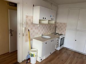 Prodej bytu 1+kk, Dvůr Králové nad Labem, Rooseveltova, 22 m2