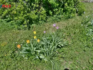 Prodej rodinného domu, Židovice, 86 m2