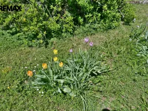 Prodej rodinného domu, Židovice, 86 m2