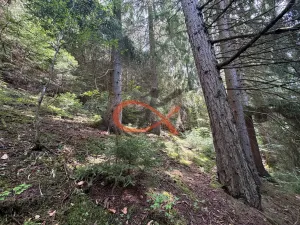 Prodej louky, Nový Hrozenkov, 25140 m2