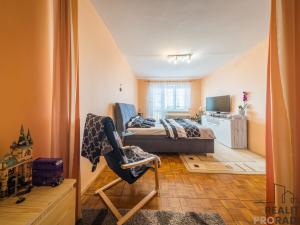 Prodej bytu 2+1, Hodonín, Družstevní čtvrť, 56 m2