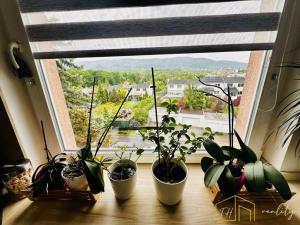 Prodej bytu 4+1, Teplice - Trnovany, Krušnohorská, 87 m2