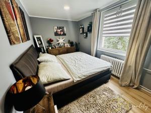 Prodej bytu 4+1, Teplice - Trnovany, Krušnohorská, 87 m2