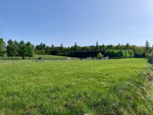 Prodej pozemku pro bydlení, Morašice, 655 m2