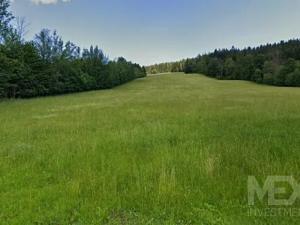 Prodej louky, Rokytnice nad Jizerou, 17539 m2
