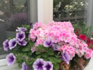 Prodej bytu 3+kk, Karlovy Vary, nábřeží Jana Palacha, 65 m2