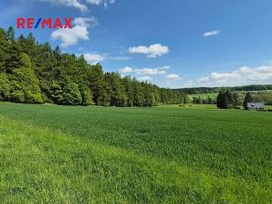 Prodej pozemku pro bydlení, Borová, 7429 m2