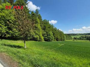 Prodej pozemku pro bydlení, Borová, 7429 m2