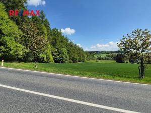 Prodej pozemku pro bydlení, Borová, 7429 m2