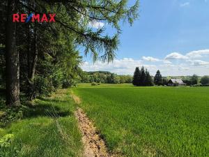 Prodej pozemku pro bydlení, Borová, 7429 m2