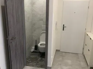 Pronájem bytu 2+kk, Praha - Nusle, U družstva Život, 60 m2