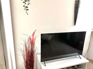 Pronájem bytu 2+kk, Karlovy Vary, Vřídelní, 43 m2