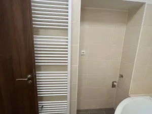 Pronájem bytu 1+1, Opava, Alšova, 55 m2