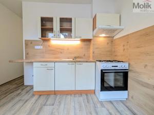 Pronájem bytu 2+1, Most, Jiřího Wolkera, 61 m2