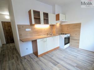 Pronájem bytu 2+1, Most, Jiřího Wolkera, 61 m2
