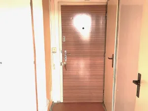 Prodej bytu 2+kk, Brno, Dunajská, 46 m2