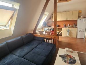 Prodej rodinného domu, Ústí nad Labem, Sukova, 400 m2