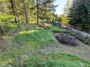 Prodej chaty, Lenora, 10 m2