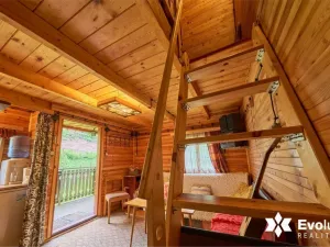 Prodej chaty, Zlatá Olešnice, 24 m2